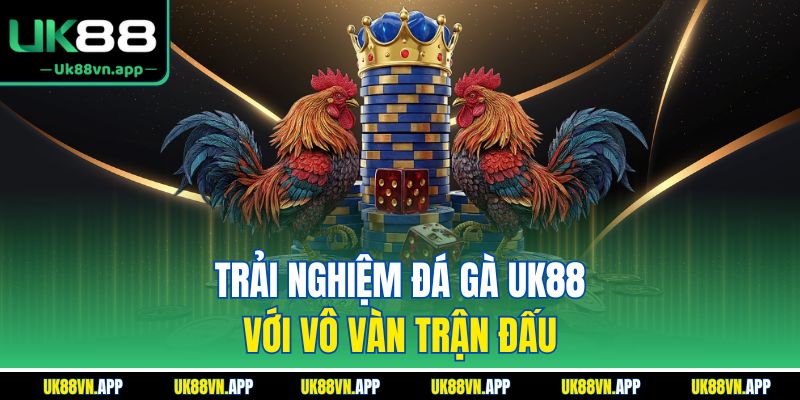 Trải nghiệm đá gà UK88 với vô vàn trận đấu